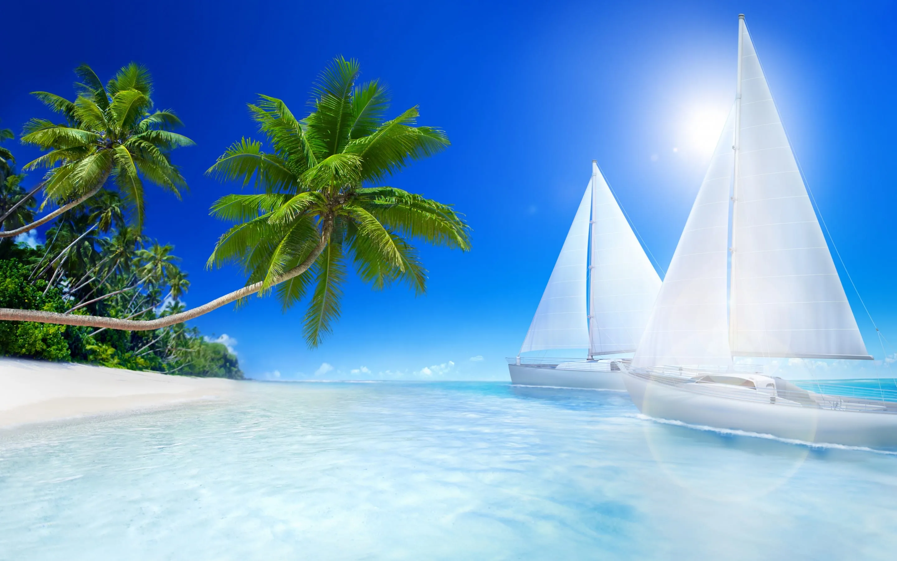 tropical beache wide