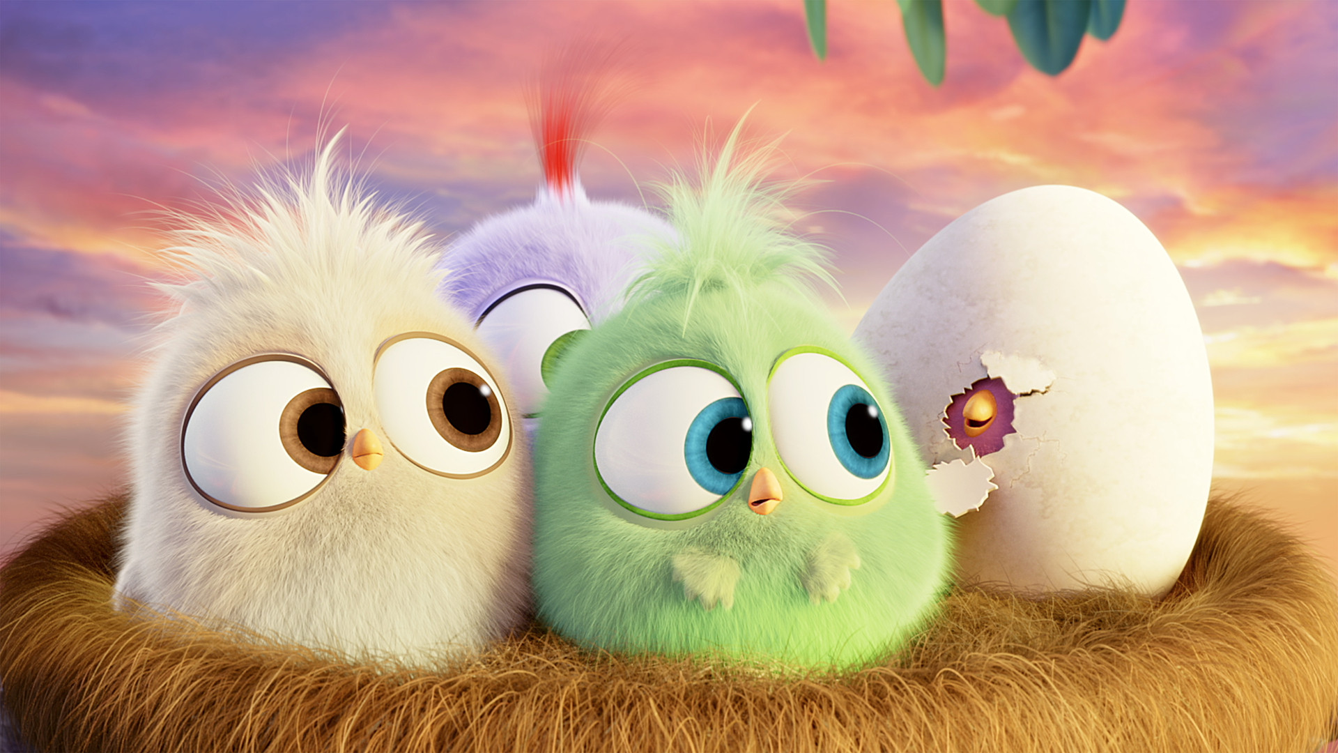 Birds Wallpapers