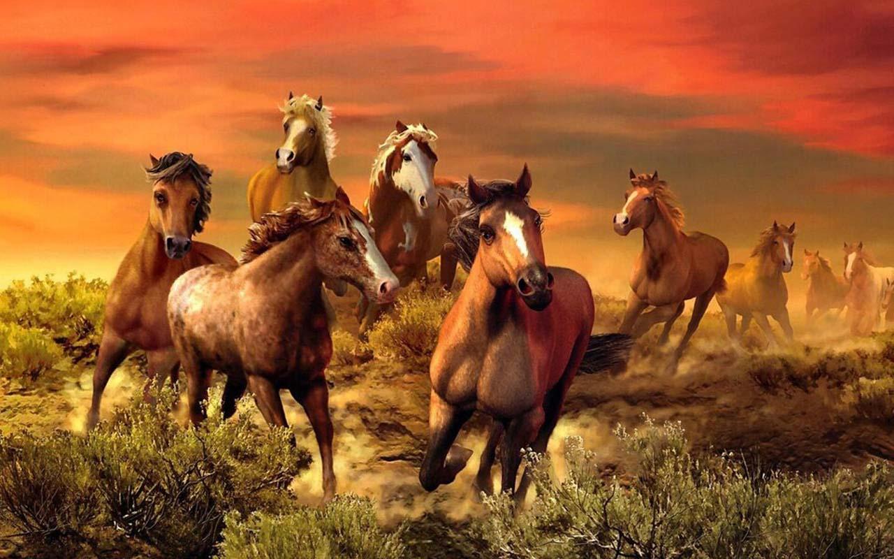 Horse Wallpapers
