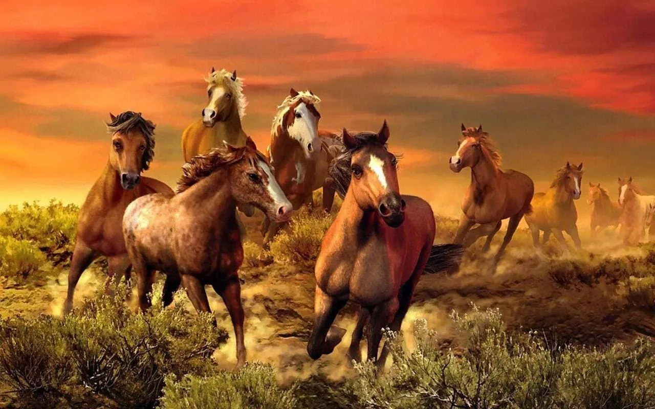 horse wallpapers 3