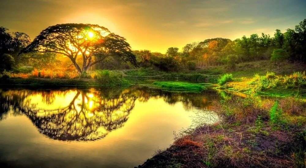 beautiful nature hd wallpapers 8
