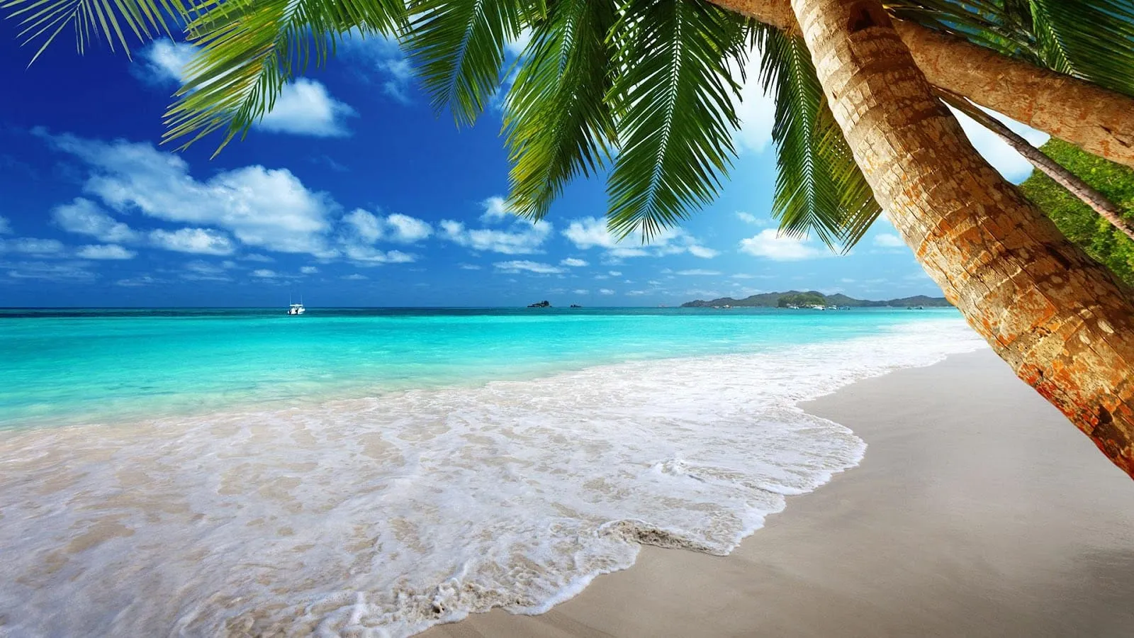 beach wallpapers 16